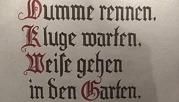 Garten -> Greenhouse