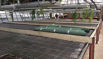 letzter Schnappschuss von Holger M.